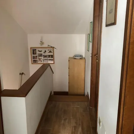 Villino Viviana In Marina Di Pietrasanta Apartamento *